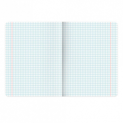 Тетрадь 18л. BRAUBERG клетка, обложка картон, PHRASES, 107784