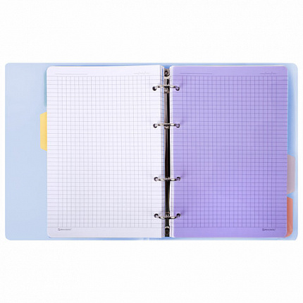 Тетрадь на кольцах А5 175х220 мм, 120 л., пластик, с резинкой и разделителями, BRAUBERG, Голубой, 404633