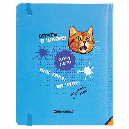 Дневник 1-11 класс 48 л., кожзам (твердая), печать, резинка, конверт, BRAUBERG, "Опять в школу", 107231