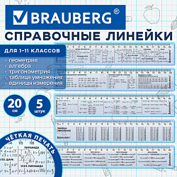 Линейки пластиковые 20 см справочные BRAUBERG, НАБОР 5 шт., для 1-11 классов, пенал, 210893