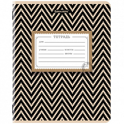 Тетрадь 12 л. BRAUBERG линия, обложка картон, TEXTURE, 107279