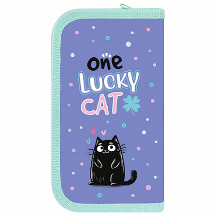 Пенал ПИФАГОР, 2 отделения, ламинированный картон, 19х11 см, "Funny cats", 273481