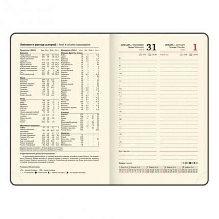 Ежедневник датированный 2026, МАЛЫЙ ФОРМАТ 100х150 мм, А6, BRAUBERG "Iguana", под кожу, черный, 117252