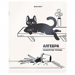 Тетради предметные, КОМПЛЕКТ 12 ПРЕДМЕТОВ 48 л., пластиковая обложка, BRAUBERG "КОТ-НЕПОСЕДА", 405542
