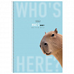Тетрадь А4 96 л., HATBER, спираль, линия, матовая ламинация, "Кто здесь?" (микс в спайке), 093596, 96Т4лВ2сп