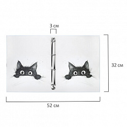 Папка-портфолио универсальная, 4 кольца, 20 файлов, 7БЦ матовая, BRAUBERG "Cat", 107557, 117557