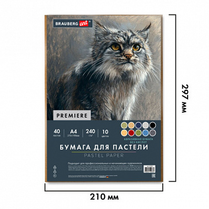 Бумага для пастели АБРАЗИВНАЯ А4 в коробке, 40 листов 8 цветов, 240 г/м2, BRAUBERG AR, 117767