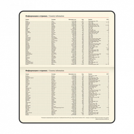 Еженедельник датированный 2026 МАЛЫЙ ФОРМАТ 95х155 мм, А6, BRAUBERG "Augustus", под кожу, голубой, 117185