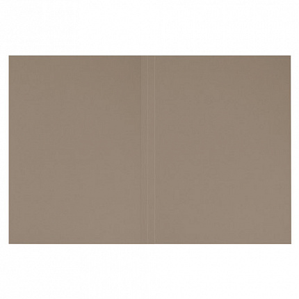 Папка без скоросшивателя "Дело", картон, плотность 280 г/м2, до 200 листов, ОФИСМАГ, 124572