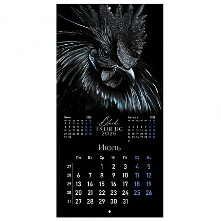 Календарь настенный перекидной 2026г, BRAUBERG, 12 листов, 28,5х28,5см, Black esthetic, 116927