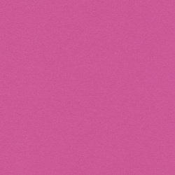 Цветная бумага А4 ДВУХЦВЕТНАЯ МЕЛОВАННАЯ, 10 листов, 20 цветов, в папке, BRAUBERG, 200х280 мм, "Дельфин", 129923