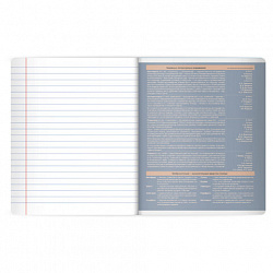 Тетрадь предметная MonoPastel 48 л., пластиковая обложка, ЛИТЕРАТУРА, линия, подсказ, BRAUBERG, 405509