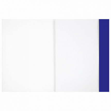 Бумага для рисования и графики в папке А4, 20 л., 200 г/м2, ВАТМАН ГОЗНАК, BRAUBERG ART CLASSIC, 114492