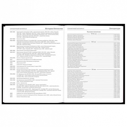 Дневник 5-11 класс 48 л., твердый, BRAUBERG, матовая ламинация, с подсказом, "Гитара", 107185