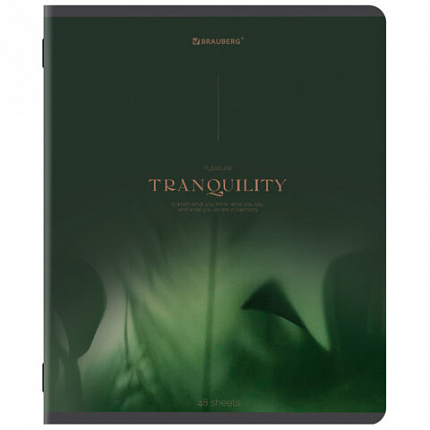 Тетрадь А5, 48 л., BRAUBERG, скоба, клетка, SoftTouch, "Peaceful", (микс в спайке), 405327