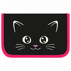 Пенал ПИФАГОР, 1 отделение, ламинированный картон, 19х11 см, "Dark kitten", 273467