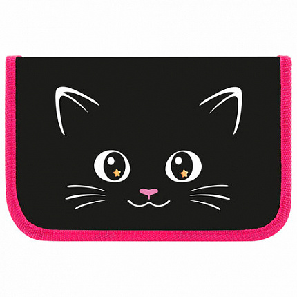 Пенал ПИФАГОР, 1 отделение, ламинированный картон, 19х11 см, "Dark kitten", 273467