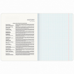 Тетрадь предметная КЛАССИКА ПРИРОДА 48 л., обложка картон, ИСТОРИЯ, клетка, подсказ, BRAUBERG, 405089