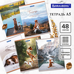 Тетрадь А5 48 л. BRAUBERG скоба, клетка, обложка картон, "Best Friends" (микс в спайке), 404360