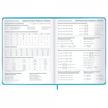 Дневник 1-11 класс 48 л., твердый, BRAUBERG, матовая ламинация, резинка, закладка-ляссе, с подсказом, "Котик", 107239