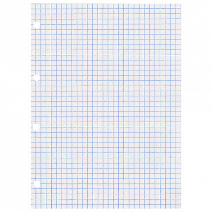 Сменный блок для тетради на кольцах БОЛЬШОЙ А4, 80 л., BRAUBERG, "Белый", 403262