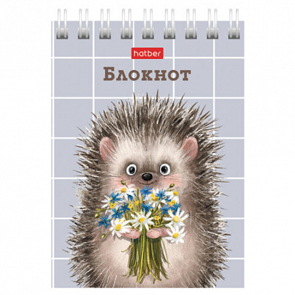 Блокнот МАЛЫЙ ФОРМАТ А7, 40 л., гребень, картон, клетка, HATBER, "Хорошо быть ёжиком", 081183, 40Б7В1гр