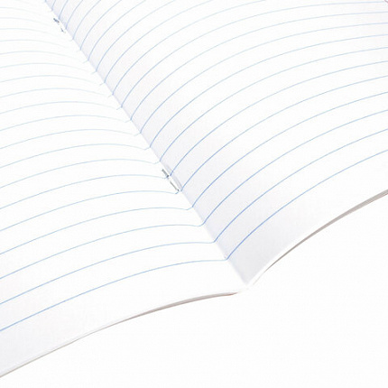 Тетрадь 24 л. BRAUBERG линия, обложка картон, "COLOR", 106487