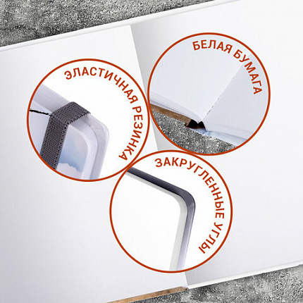 Скетчбук, белая бумага 120 г/м2, 145х203 мм, 80 л., резинка, твердый, BRAUBERG ART DEBUT "Львёнок", 114585