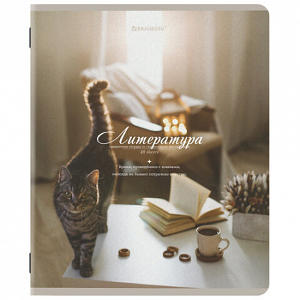 Тетради предметные, КОМПЛЕКТ 12 ПРЕДМЕТОВ, 48 л., SoftTouch, BRAUBERG, "ESTHETICS", 404833