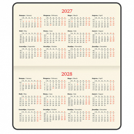 Еженедельник датированный 2027 МАЛЫЙ ФОРМАТ 105х160мм А6 BRAUBERG Unique, красный, 118164