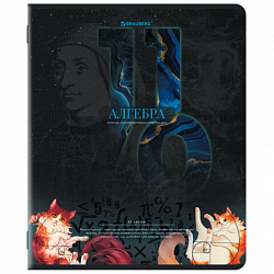 Тетради предметные, КОМПЛЕКТ 12 ПРЕДМЕТОВ, 48 л., TWIN лак, BRAUBERG "ДАТЫ", 405173