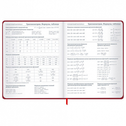 Дневник 1-11 класс 48 л., твердый, BRAUBERG, матовая ламинация, резинка, закладка-ляссе, с подсказом, "Мото", 107236