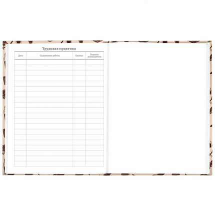 Дневник 5-11 класс 48 л., твердый, BRAUBERG, выборочный лак, с подсказом, "Магия", 106885