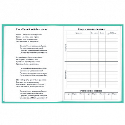 Дневник 1-11 класс 40 л., твердый, BRAUBERG, матовая ламинация, АССОРТИ, 107165