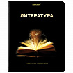 Тетради предметные, КОМПЛЕКТ 12 ПРЕДМЕТОВ, 48 л., глянцевый УФ-лак, BRAUBERG, "SHADE", 404324