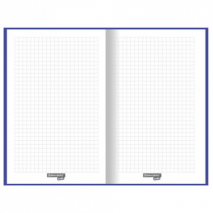 Блокнот А5 (134х206 мм), 80 л., твёрдый, клетка, BRAUBERG KIDS, "Радужные котики", 114417