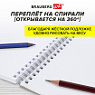 Скетчбук, белая бумага 100 г/м2, 140х201 мм, 60 л., гребень, жёсткая подложка, BRAUBERG ART DEBUT, "Корги", 115064