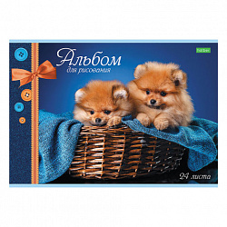 Альбом для рисования, А4, 24 листа, скоба, обложка офсет, HATBER ECO, 205х290 мм, Ассорти, 058404, 24А4C