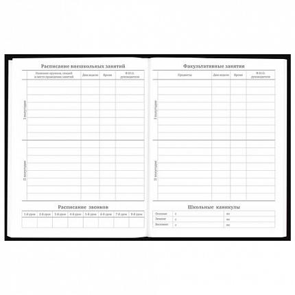 Дневник 5-11 класс 48 л., твердый, BRAUBERG, выборочный лак, с подсказом, "Dragon", 107195