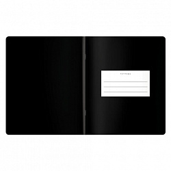 Тетради предметные, КОМПЛЕКТ 12 ПРЕДМЕТОВ 48 л., пластиковая обложка, BRAUBERG "BLACK MODE", 405541