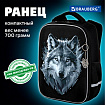 Ранец BRAUBERG LIGHT, 1 отделение, с брелком, Gray wolf, 36х26х13 см, 273111