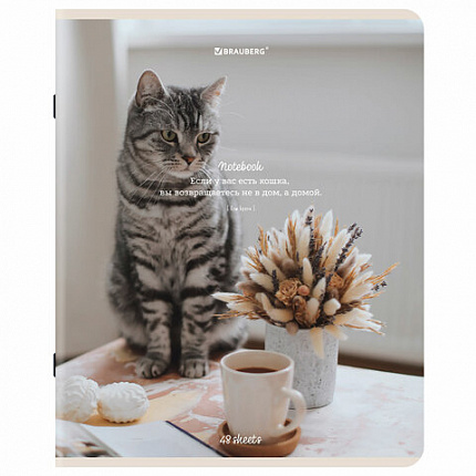 Тетрадь А5, 48 л., BRAUBERG, скоба, клетка, матовая ламинация, "Cats", (микс в спайке), 405334