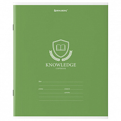 Тетрадь 18 л. BRAUBERG линия, обложка картон, "ОДНОТОННЫЙ С ЭМБЛЕМОЙ", 106483