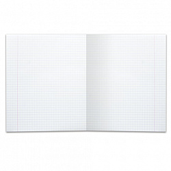 Тетрадь 12 л., HATBER HD, клетка, обложка тонированный офсет, внутренний блок 80 г/м2, "ЛОМОНОСОВ", 025264, 12Т5A1_10264