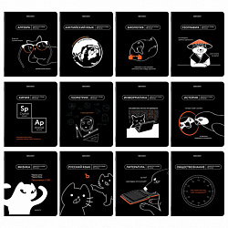 Тетради предметные, КОМПЛЕКТ 12 ПРЕДМЕТОВ, 48 л., TWIN-лак, BRAUBERG "МЕМЫ", 405172