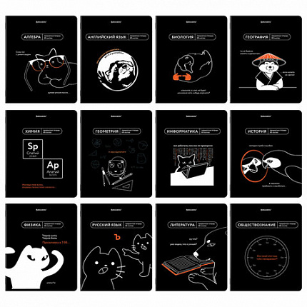 Тетради предметные, КОМПЛЕКТ 12 ПРЕДМЕТОВ, 48 л., TWIN лак, BRAUBERG "МЕМЫ", 405172