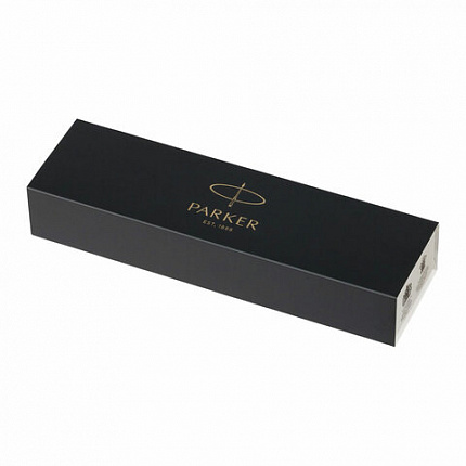 Ручка перьевая PARKER "Vector Stainless Steel", корпус серебристый, детали из нержавеющей стали, синяя, S0029690