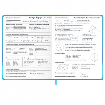 Дневник 1-11 класс 48 л., твердый, BRAUBERG, матовая ламинация, резинка, закладка-ляссе, с подсказом, "Котик", 107239