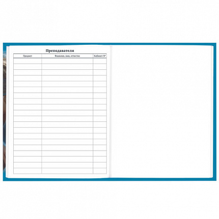 Дневник 1-11 класс 40 л., твердый, BRAUBERG, глянцевая ламинация, "Девушка с драконом", 107167