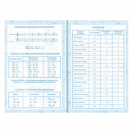 Дневник для музыкальной школы 140х210 мм, 48 л., твердый, BRAUBERG, справочный материал, "Музыка", 104975
